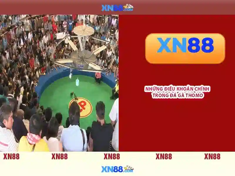 xn88 có uy tín không - xn88 xn88 có uy tín không - xn88