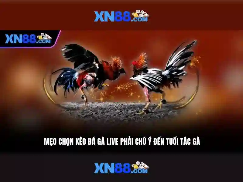 💎888slot city.win💎 💎888slot city.win💎