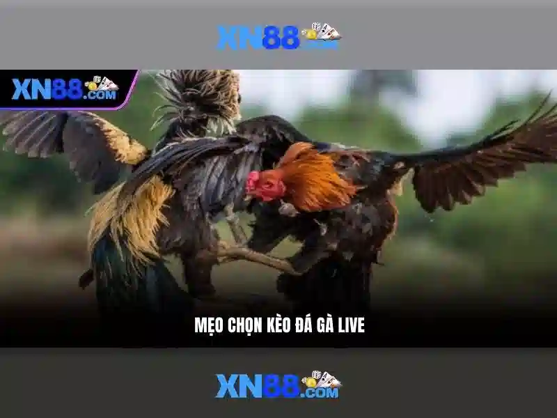 💎let s make a deal time slot💎 💎let s make a deal time slot💎