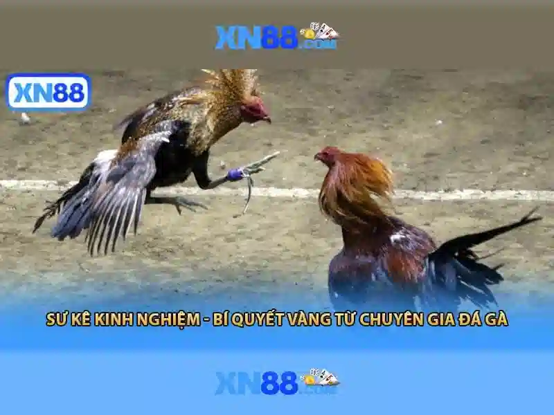 💎eureka slot machine💎 💎eureka slot machine💎