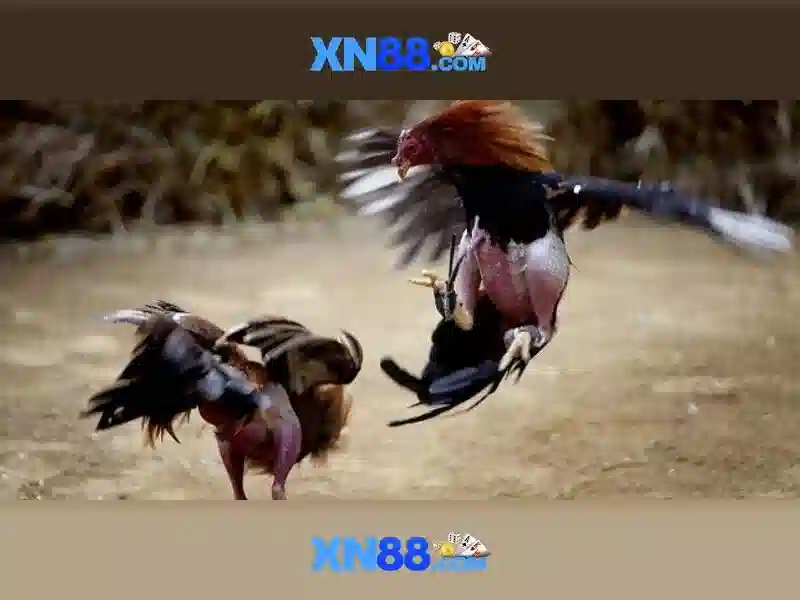 💎daftar slot dapat bonus saldo💎 💎daftar slot dapat bonus saldo💎