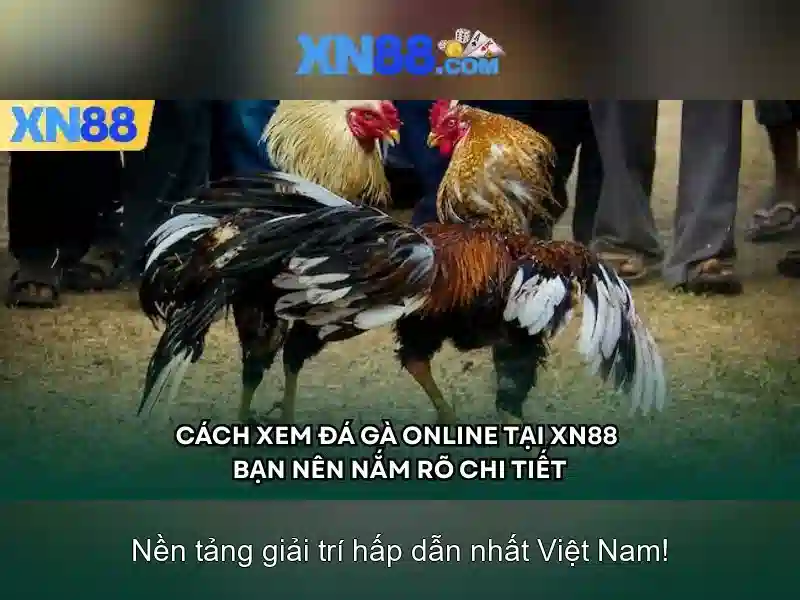 💎gói cước 3g cả năm💎 💎gói cước 3g cả năm💎